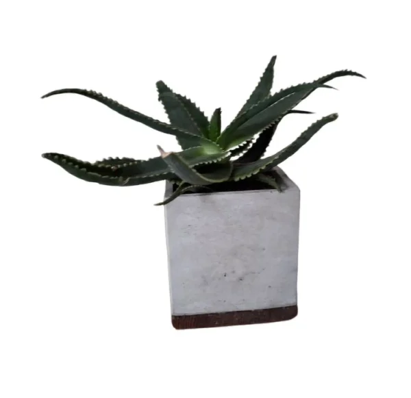 Blok potje
